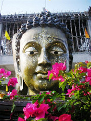 Getting married abroad – A Buddhist temple in Thailand